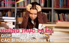 Những loại thực phẩm các phụ huynh cần bổ sung ngay vào thực đơn để bảo vệ thị lực của sĩ tử trong mùa thi