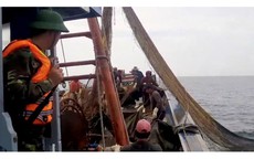 Bắt tàu giã cào tận diệt hải sản tại vùng biển Hà Tĩnh