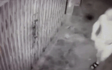 Nữ sinh viên sợ hãi thuật lại thời điểm bị người hàng xóm quấy rối 'xin ngủ cùng đêm nay'