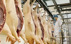 Cơn sốt mới: Giá thịt lợn tăng mạnh, dân ăn dè chợ ế ẩm