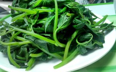 Loại rau giúp thanh lọc nội tạng mà người Nhật cực thích, đang rẻ như bèo ở chợ Việt nhưng nhiều người chê không ăn!
