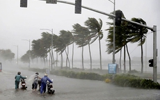 Bão số 2 cách Quảng Ninh 200km