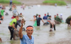 Độc đáo hội thi bắt cá ở Hà Tĩnh