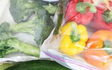 Thực hư việc bỏ rau trong túi nilon cho vào tủ lạnh không những độc hại mà còn gây ung thư? 3 loại thực phẩm không khuyến khích để trong tủ lạnh