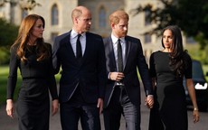 William, Harry có thể đi cạnh nhau sau linh cữu Nữ hoàng Anh