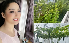 Hoa hậu Giáng My bên thành quả thu hoạch rau củ quả 'bội thu' trong biệt thự xa hoa