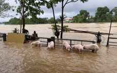 Cận cảnh trường học, nhà cửa ngập nặng do mưa lũ ở Hà Tĩnh