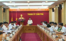 Vi phạm pháp luật, 2 Phó chủ tịch và Bí thư đoàn thanh niên bị khai trừ Đảng