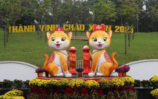 Tiết lộ bất ngờ về cặp linh vật mèo "siêu kute" chào Xuân Quý Mão 2023