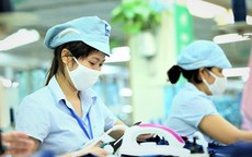 Để nhận được tiền hỗ trợ mất việc, giảm giờ làm người lao động cần làm gì?