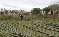 Phiên chợ đặc biệt mỗi năm chỉ họp vài ngày, bán 'cây tre trăm đốt' nườm nượp người mua dịp cận Tết