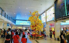 Bất ngờ lượng khách qua sân bay Tân Sơn Nhất ngày Tết