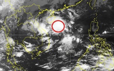 Tin mới nhất vùng áp thấp trên Biển Đông gây mưa rào và dông mạnh khu vực miền Trung