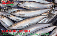 Loại cá giàu omega3, giá rẻ chỉ bằng 1/4 cá hồi bán đầy ở chợ Việt