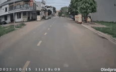 Video: Thót tim cảnh tài xế phanh gấp cứu mạng bé gái chạy băng qua đường 