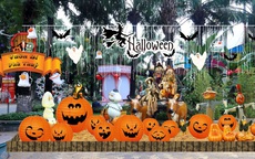 Danh sách những địa điểm vui chơi Halloween 2023 náo nhiệt nhất cho trẻ em tại TPHCM và Hà Nội
