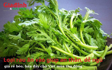 Loại rau ăn vào giúp an thần, dễ ngủ, giá rẻ bèo, bán đầy chợ Việt mùa thu đông