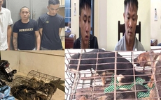 Bắt nhóm "cẩu tặc" trộm cắp gần 100 con chó trong chưa đầy 10 ngày