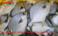 Loại cá giàu dinh dưỡng, hỗ trợ điều trị suy nhược, mất ngủ, giá lại rẻ bèo, bán đầy chợ Việt