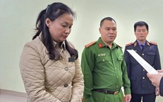 Hé lộ nguyên nhân nữ chấp hành viên Chi cục thi hành án dân sự bị bắt giam