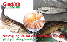 Những loại cá tốt cho sức khoẻ của gan, giá cả phải chăng, bán đầy chợ Việt