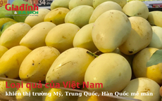 Loại quả của Việt Nam khiến thị trường Mỹ, Trung Quốc, Hàn Quốc mê mẩn, xuất khẩu hàng trăm triệu USD