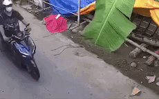 Video: Màn bắt trộm gà 'nhanh như chớp' khiến người xem không khỏi ngỡ ngàng