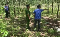 Anh em ruột xô xát, gây ra án mạng trong vườn cao su ở Bình Phước