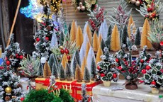Thị trường Giáng sinh 2023: Nhiều đồ trang trí bắt mắt, phố Hàng Mã, Hàng Lược... nhộn nhịp hút khách