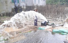 Người dân cấp tập bơm nước chống úng cho nông sản, hoa Tết