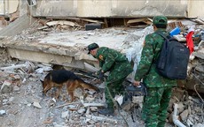 Động đất tại Thổ Nhĩ Kỳ, Syria: Những thành công của đội chó nghiệp vụ tìm kiếm cứu nạn của QĐND Việt Nam