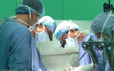 Ca bệnh thứ 2 ở Việt Nam ghi nhận có sán chó trong tim
