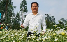 Tiến sĩ mang hoa đẹp xứ lạnh về trồng thành công ở Đà Nẵng