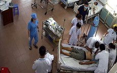 Tháo dỡ cây thông Noel, một người tử vong, 5 người bị thương