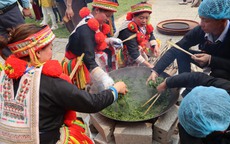 Chè Shan Tuyết Na Hang - hương vị khó quên của núi rừng Tuyên Quang