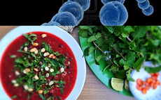 Không ăn tiết canh, không giết mổ lợn vẫn có thể mắc liên cầu lợn
