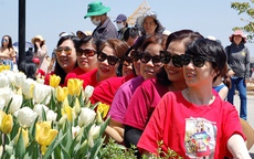 Hàng nghìn người đội nắng đổ về vườn hoa tulip trên núi Bà Đen
