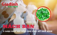  Mách bạn 5 loại rau lợi sữa cho phụ nữ sau sinh