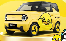 Chiếc xe điện "dễ thương hết nấc", giá chỉ hơn 100 triệu đồng, nhìn thôi đã đủ mê đắm