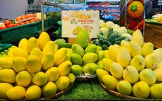 Xoài dội chợ: Hàng Nhật 2,5 triệu một quả, đặc sản Việt thơm ngon giá rẻ bèo