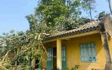 Lốc xoáy "thổi bay" mái nhà dân, trường học ở Thanh Hóa