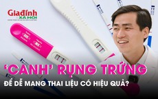 Dùng que 'canh' trứng để dễ mang thai liệu có hiệu quả?