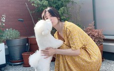 Song Hye Kyo khoe khoảnh khắc bình yên bên cún cưng, nhưng mặt mộc hoàn hảo mới là tiêu điểm