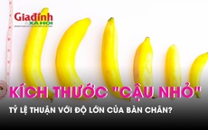 Kích thước "cậu nhỏ" tỷ lệ thuận với bộ phận nào trên cơ thể để liếc mắt cũng đoán được ngay chiều dài? 