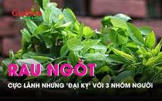 Rau ngót cực lành nhưng 3 nhóm người  này muốn sống khỏe mạnh tuyệt đối không nên sử dụng 