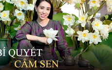 Cách cắm hoa sen tại nhà ai nhìn cũng mê của nữ doanh nhân Hà Thành