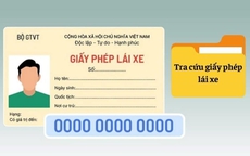 Hướng dẫn cách tra cứu giấy phép lái xe người dân cần biết để xem GPLX của mình thật hay giả