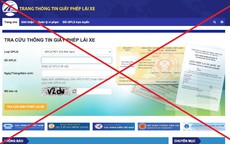 Nhiều website giả mạo tra cứu, cấp đổi giấy phép lái xe