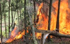 Xác chết bí ẩn lộ diện sau vụ cháy rừng ở Quảng Ninh đang được điều tra