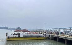 Từ 12h hôm nay, Quảng Ninh dự kiến cấm biển, Hải Phòng tạm dừng tham quan Vịnh Cát Bà